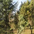Paysages