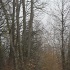 Paysages