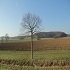 Paysages
